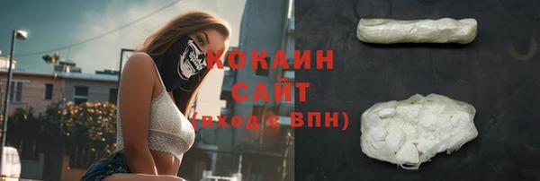 мдпв Протвино