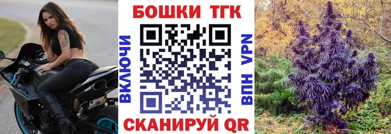 Бошки марихуана сатива  купить наркоту  Асино 